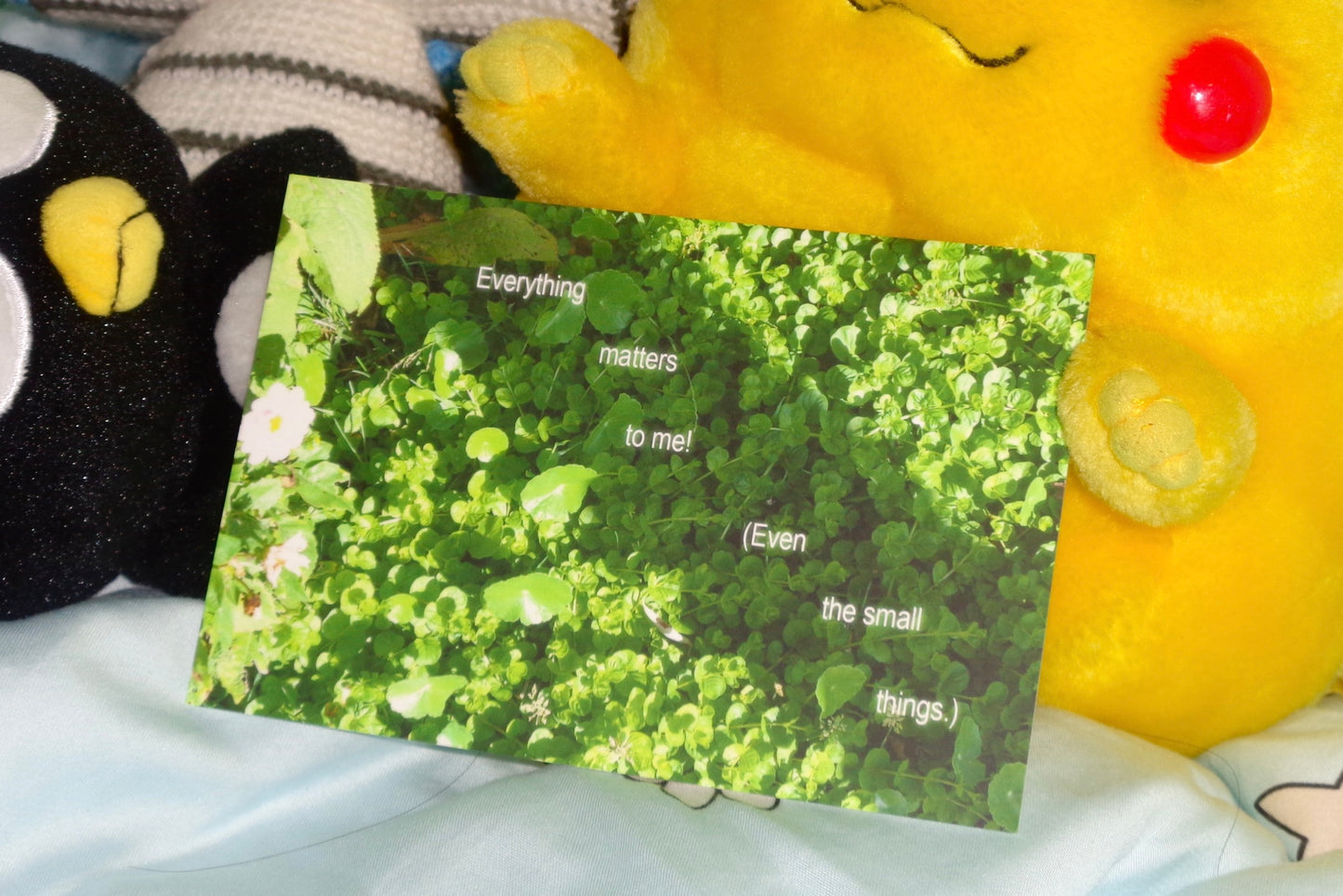 "Everything matters to me" Postcard