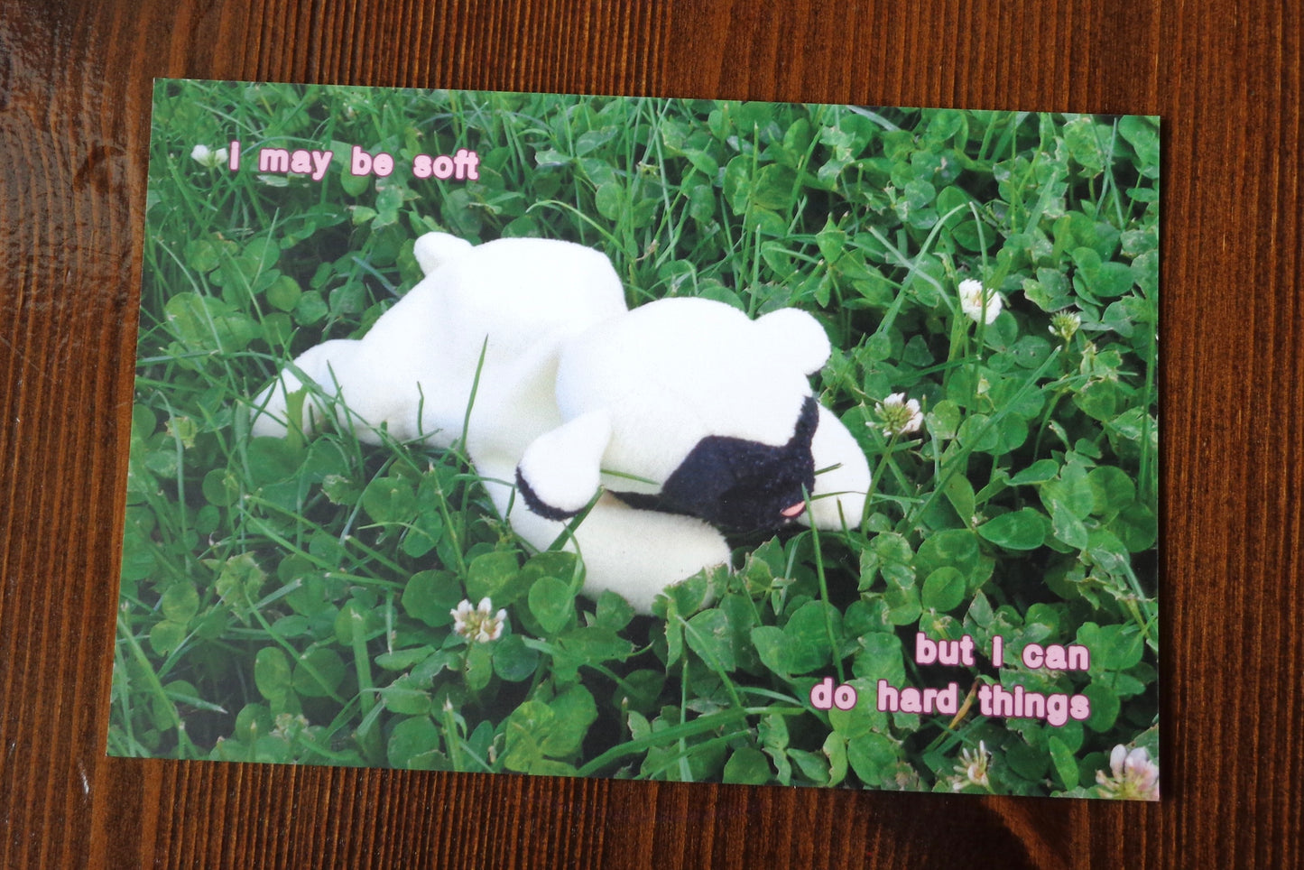 "I may be soft" Postcard