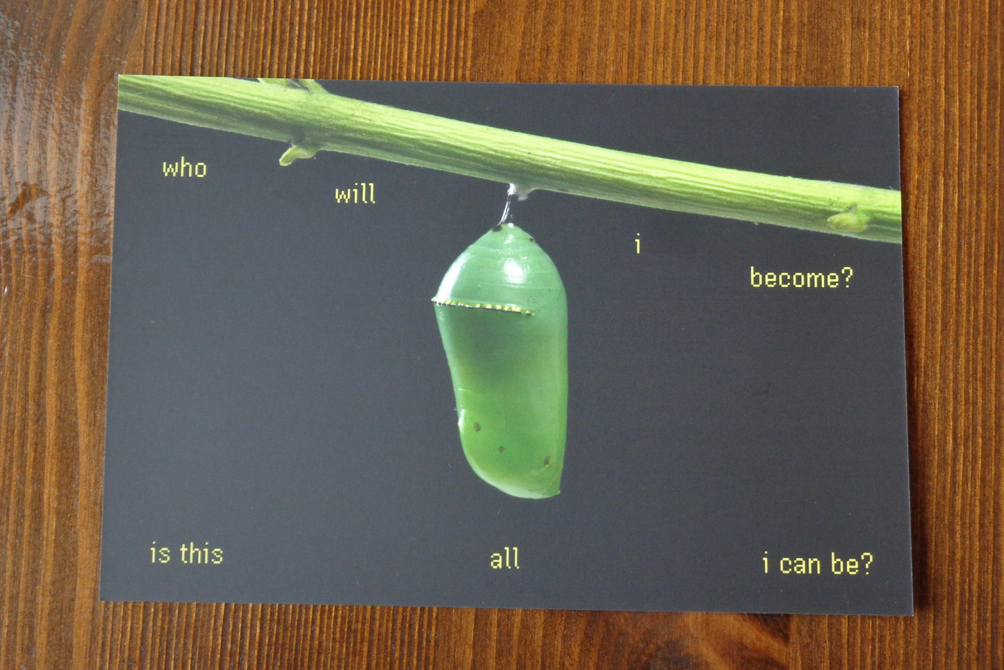 "Who will I Become?" Postcard