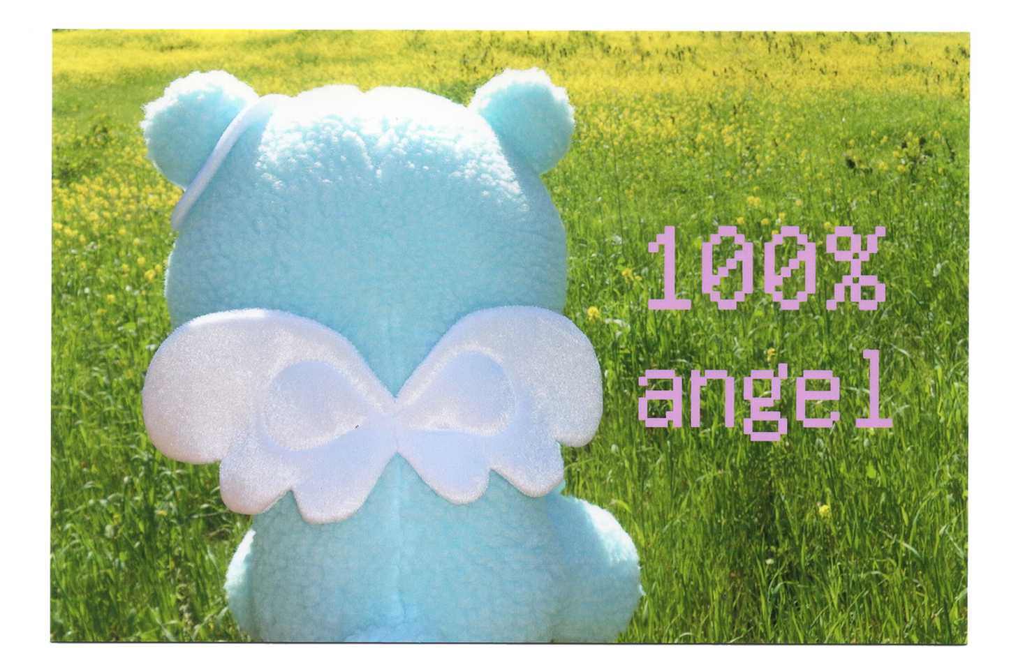 "100% Angel" Postcard
