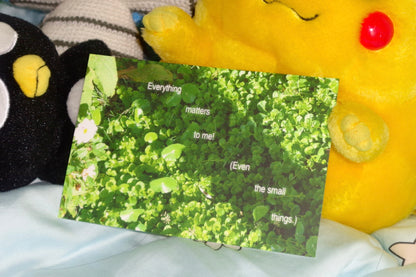 "Everything matters to me" Postcard