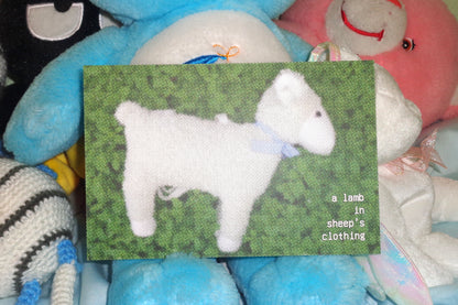 "A lamb in sheep's clothing" Postcard