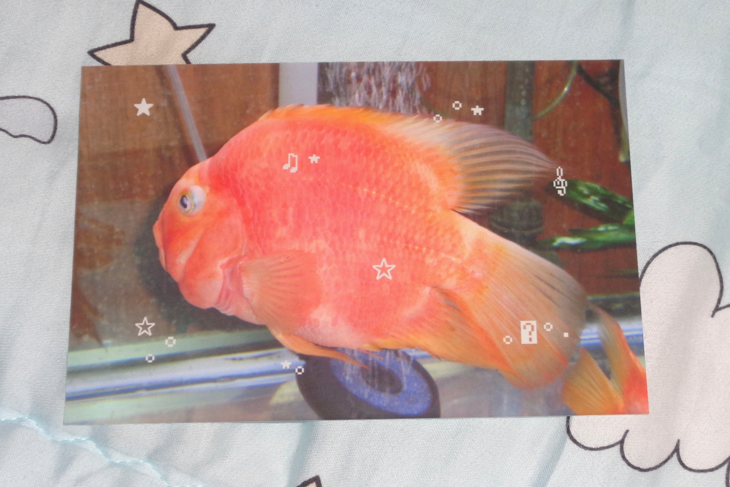 Fish Emoticon Postcard