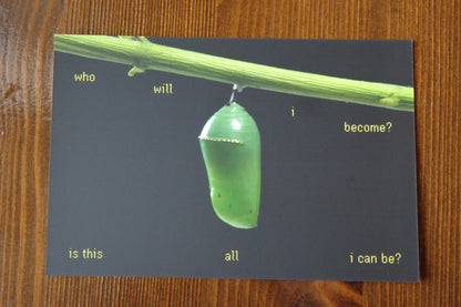 "Who will I Become?" Postcard