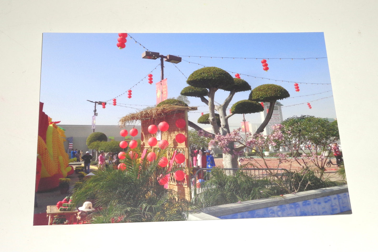 Tết Festival Postcard