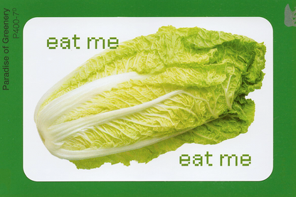 Cabbage Sticker
