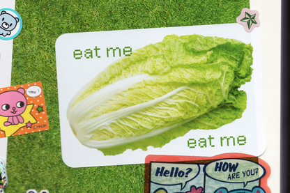 Cabbage Sticker