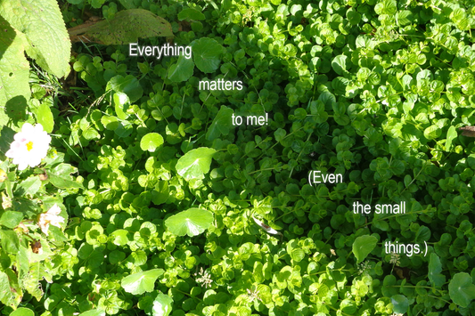 "Everything matters to me" Postcard