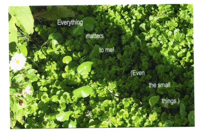 "Everything matters to me" Postcard