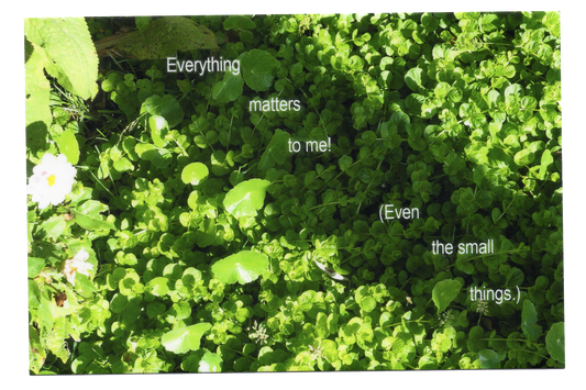 "Everything matters to me" Postcard