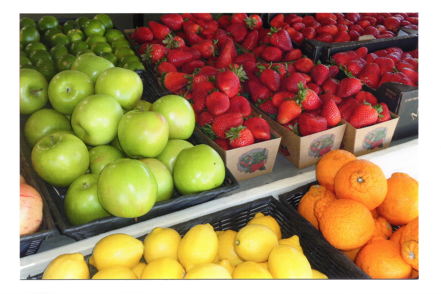 Fruit Mart Postcard