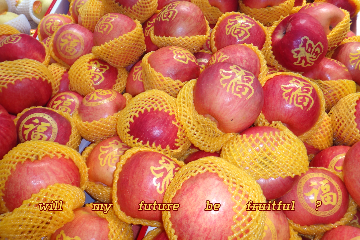 "Will my future be fruitful?" Postcard