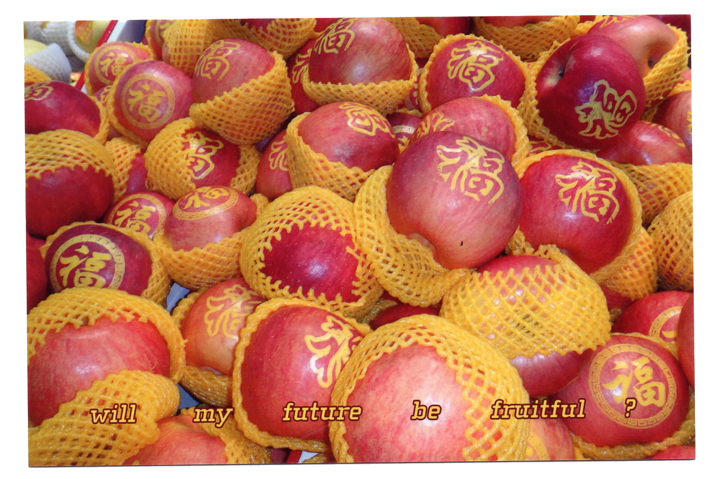 "Will my future be fruitful?" Postcard