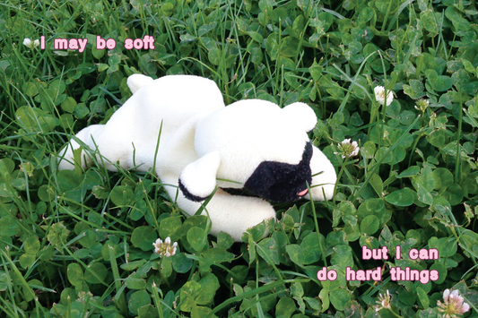 "I may be soft" Postcard