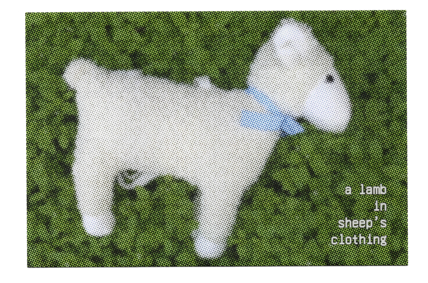 "A lamb in sheep's clothing" Postcard