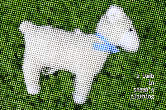 "A lamb in sheep's clothing" Postcard