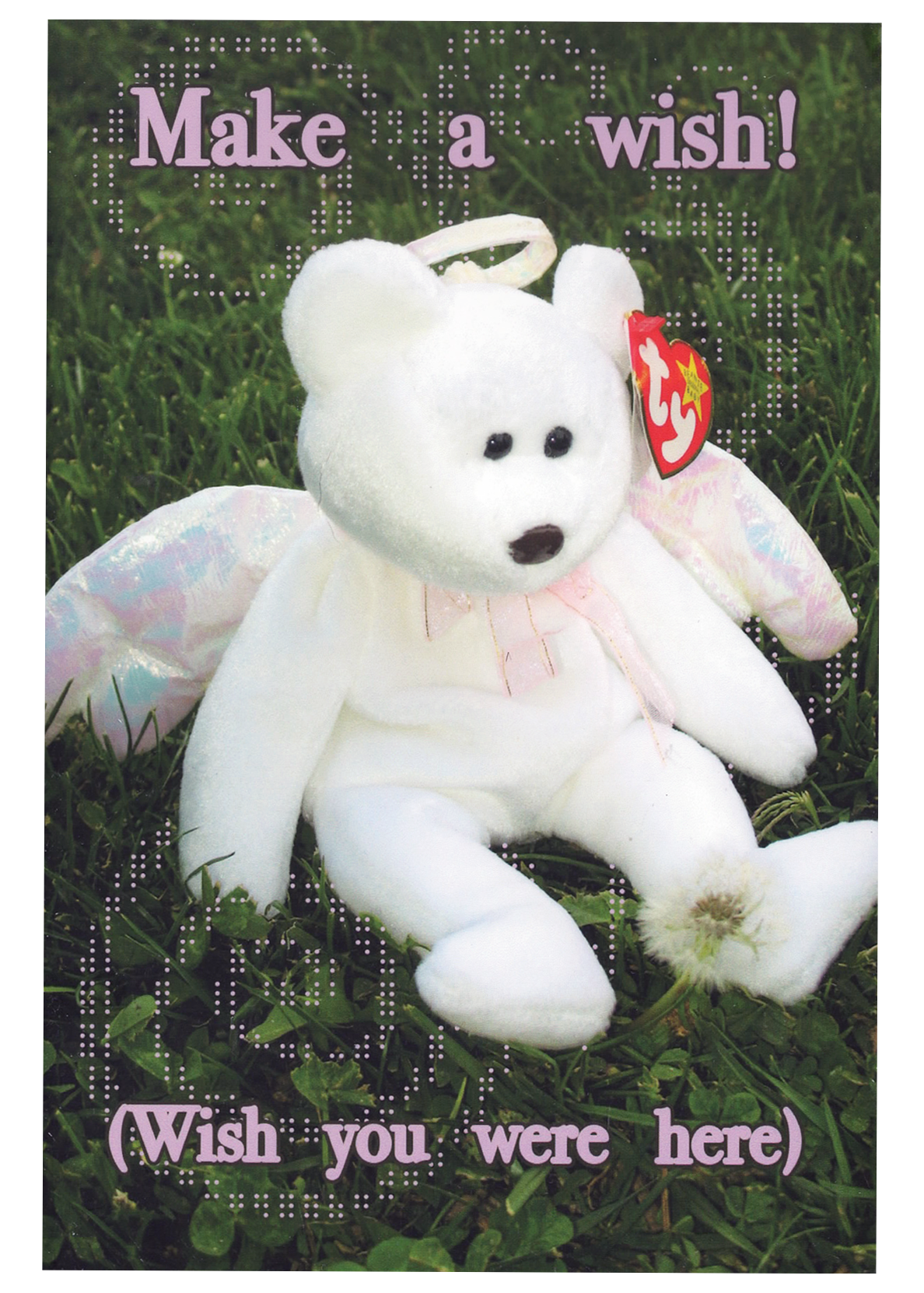 "Make a wish!" Postcard