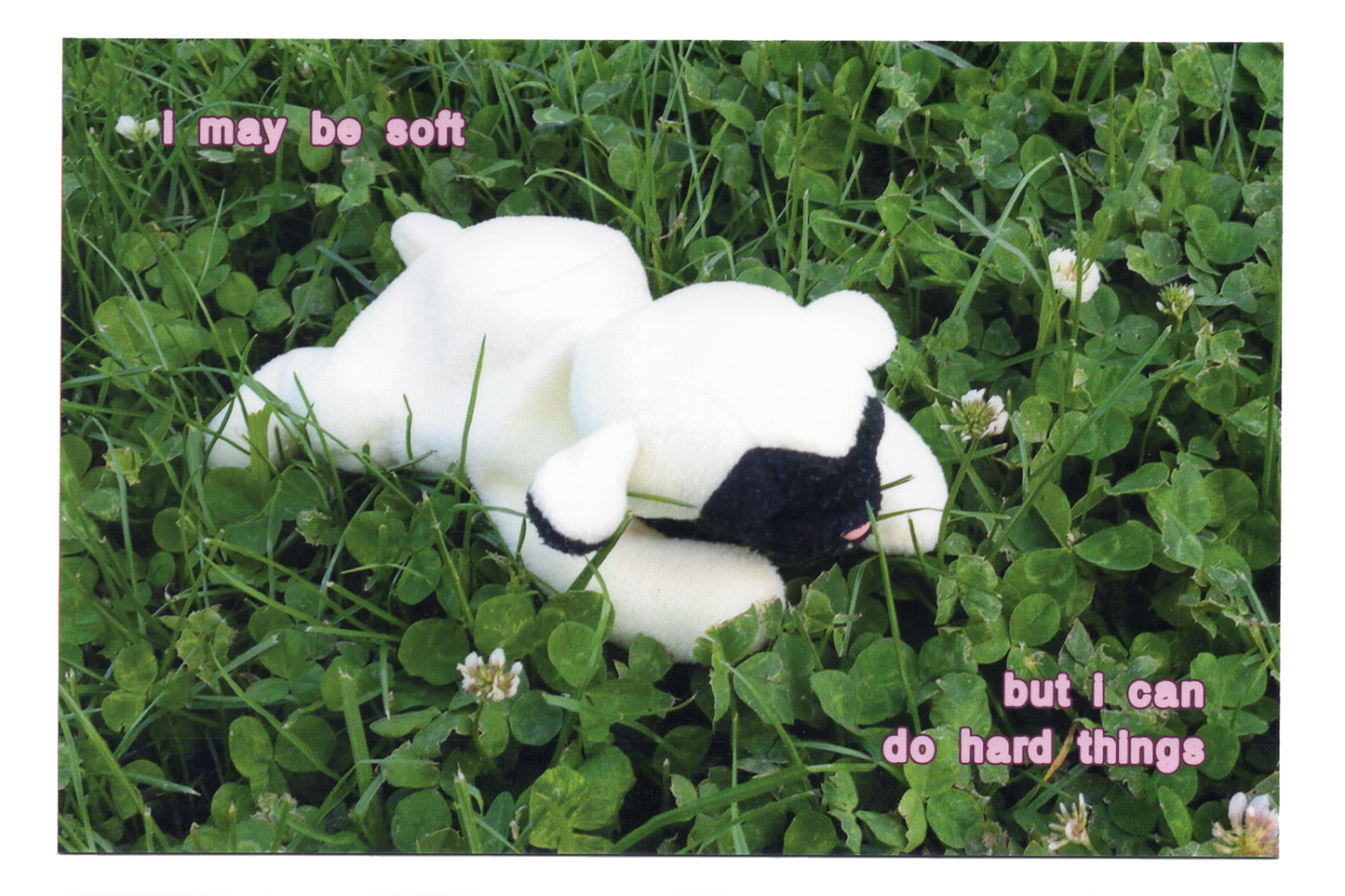 "I may be soft" Postcard