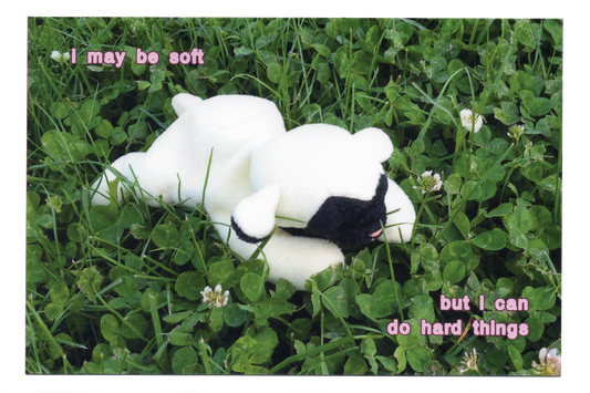 "I may be soft" Postcard