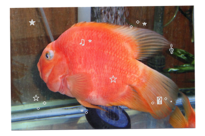 Fish Emoticon Postcard