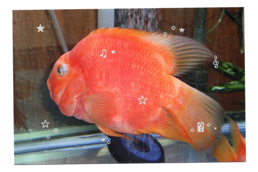 Fish Emoticon Postcard