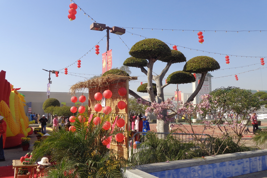 Tết Festival Postcard