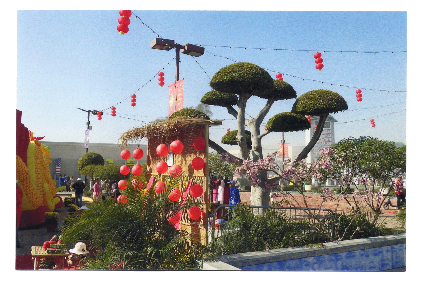 Tết Festival Postcard
