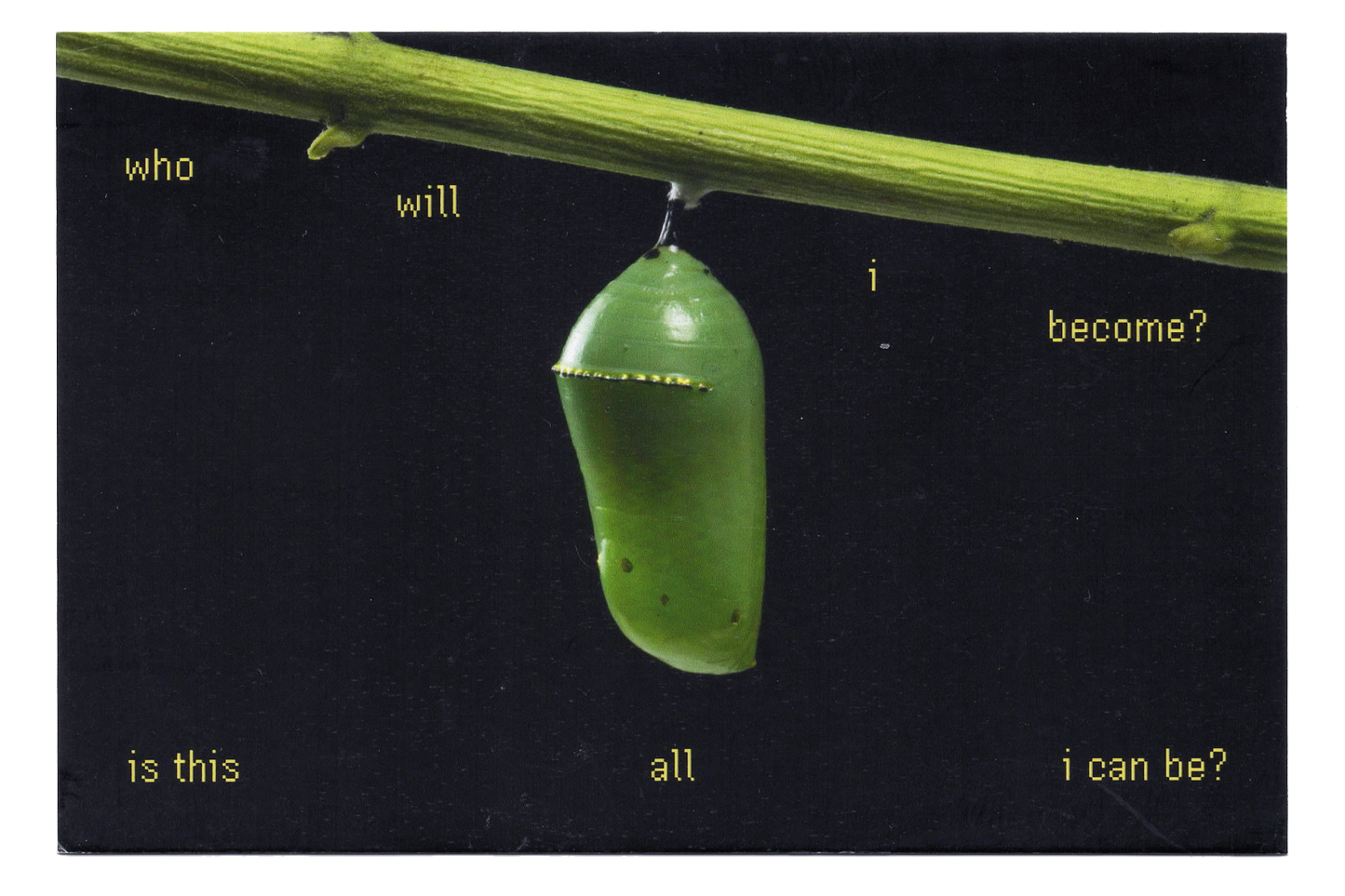 "Who will I Become?" Postcard