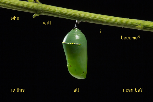 "Who will I Become?" Postcard