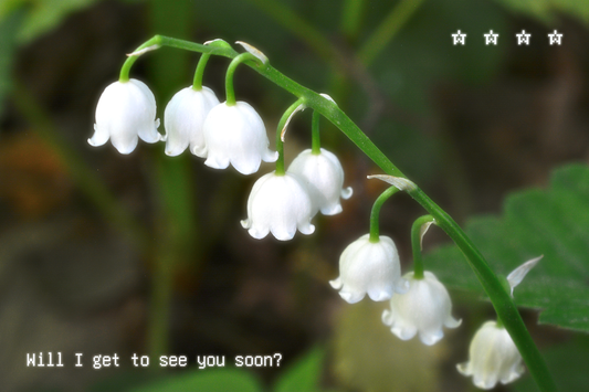 "Will I get to see you soon?" Postcard