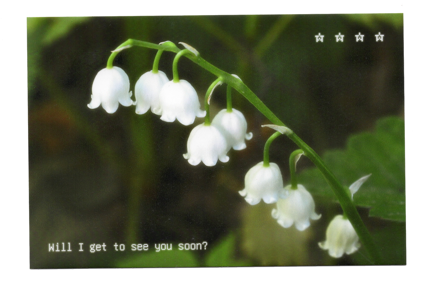 "Will I get to see you soon?" Postcard