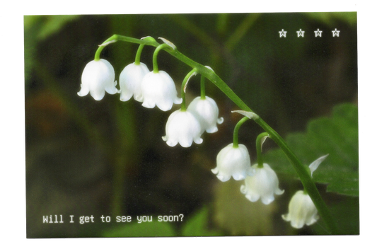 "Will I get to see you soon?" Postcard
